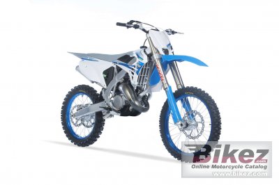 Accossato Bremsbeläge Für TM MX 125 (2T) – Organische Mischung, 93,9 X 36,5 X 7,6 Mm, Für Straße & Rennstrecke